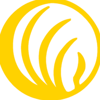 National Alliance for Mental Illness (NAMI)