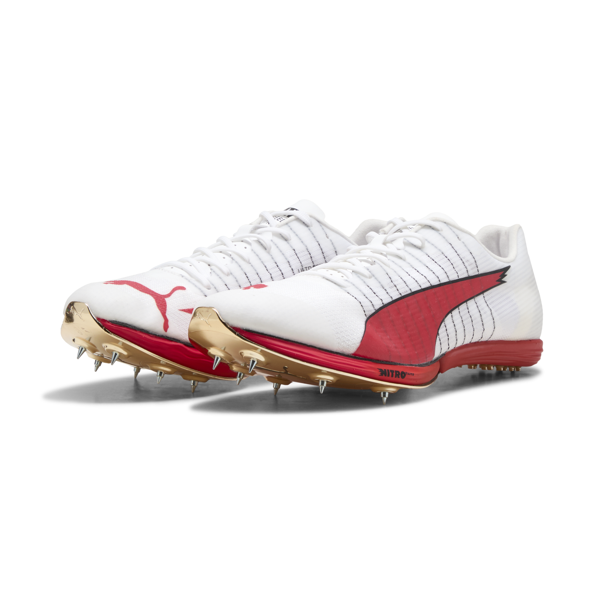 Unisex Puma evoSPEED Forte Nitro Elite – Runners Plus Unisex Puma evoSPEED Forte Nitro Elite – Runners Plus