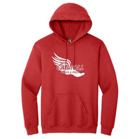Sudadera unisex con capucha de mezcla pesada Carroll Track