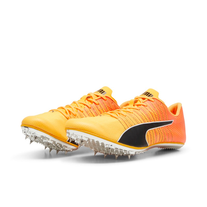 Cepillo unisex Puma evoSPEED 6