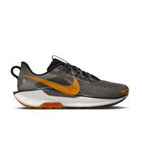 Men's Nike Pegasus Trail 5