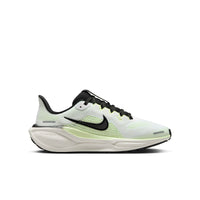 Youth Nike Pegasus 41