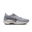 Nike Pegasus Trail 5 GORE-TEX para hombre 