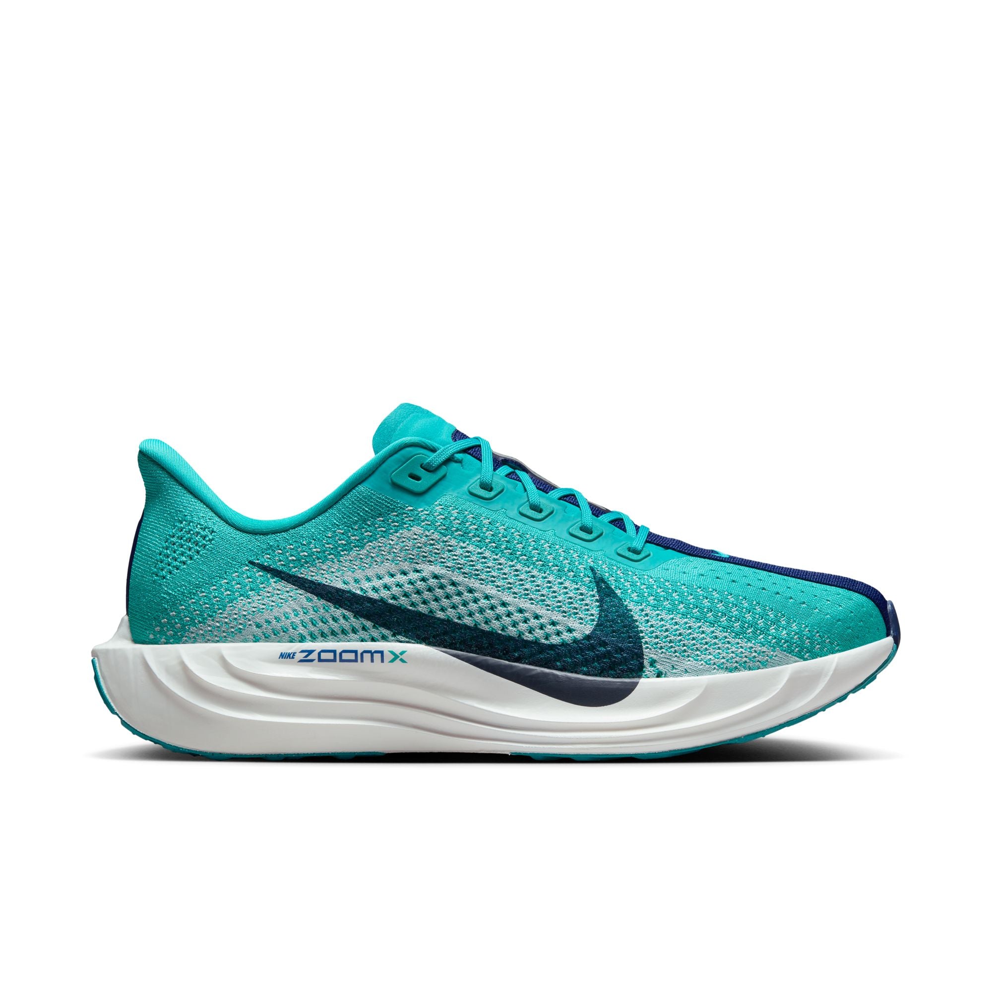 Men's Nike Pegasus Plus