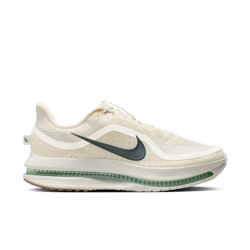 Nike Pegasus Premium para hombre