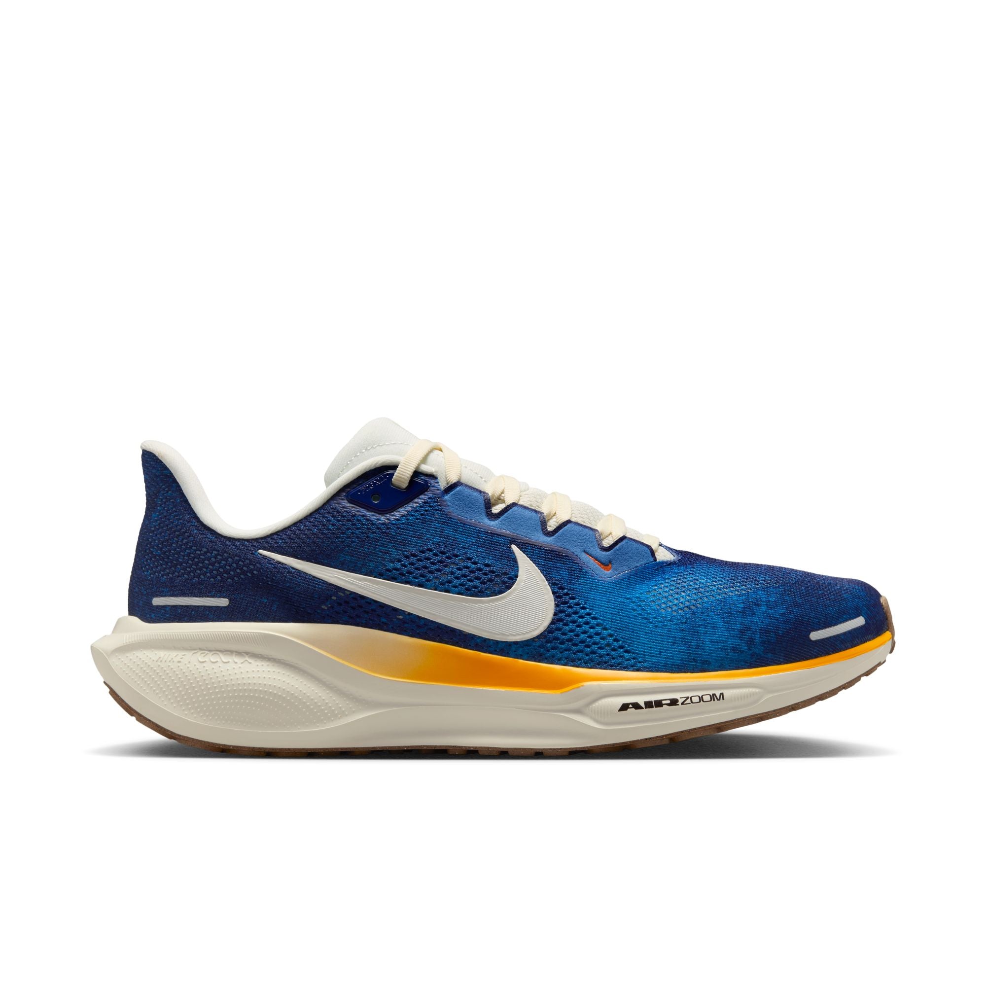 Men's Nike Pegasus 41
