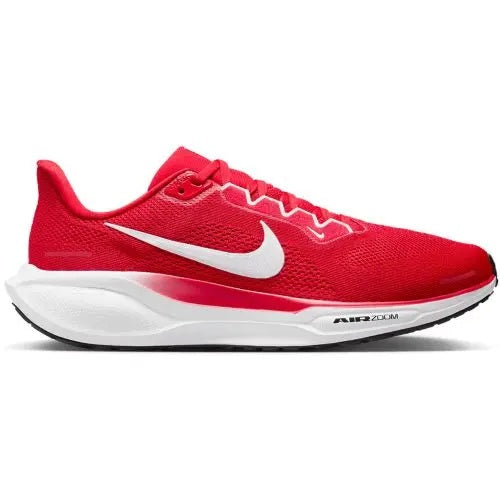 Women's Nike Pegasus 41 TB