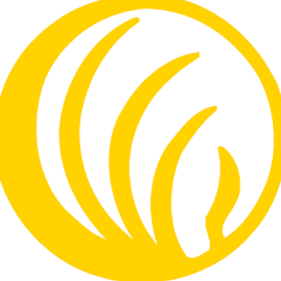National Alliance for Mental Illness (NAMI)